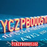 ycbzpb00005102